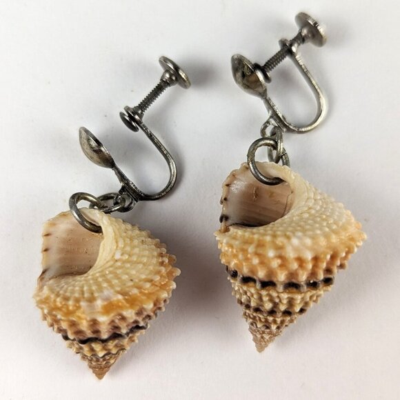 Vintage Winkle Seashell Screw-Back Earrings - Picture 1 of 3